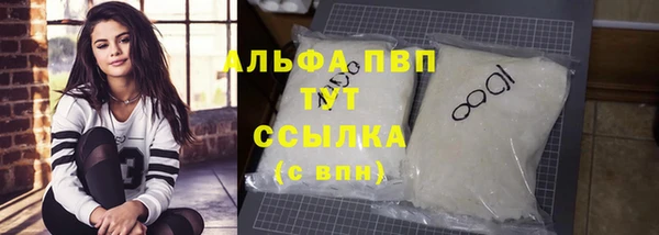 гашик Абаза