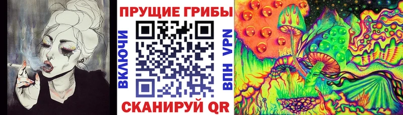 Галлюциногенные грибы Magic Shrooms  Духовщина 